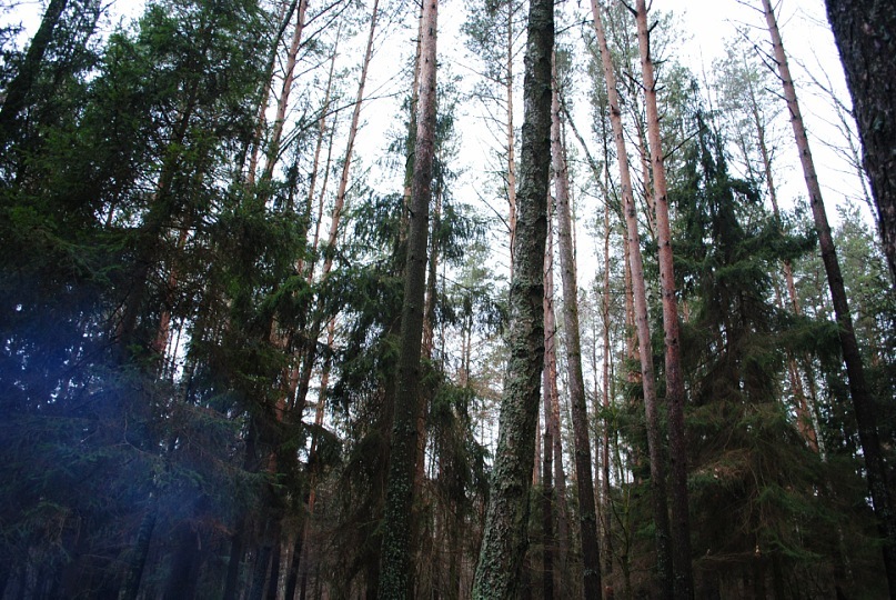 Сергей Василенко фотография #47