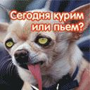Міша Кравчук фотография #2 (источник - https://vk.com/id110655437)