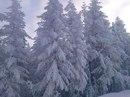 Андрій Пасальський фотография #2 (источник - https://vk.com/id167382167)