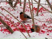 Фотография Ивановой Анастасии