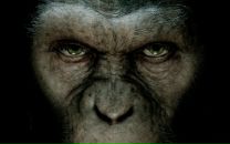 Фотография Колосова Александра