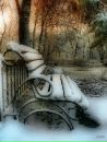 Фотография Гурьянова Дамодары
