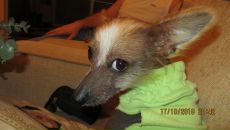 Фотография Бородиной Ирины