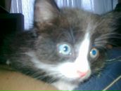 Фотография Ивановой Ани