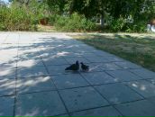 Фотография Филюкова Петра