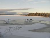 Фотография Лайко Анны