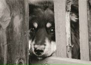 Фотография Евсиковой Анны