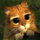 Віталій Медвідь фотография #1