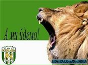 Назар Заліско фотография #19 (источник - https://vk.com/id79278675)