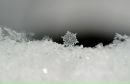 Фотография Авдеенок Марины