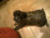 Фотография Котовой Алисы