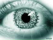 Фотография Николаева Александра