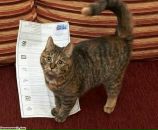 Фотография Лихачевой Юлии