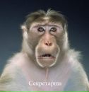 Тімур Сокунов фотография #44 (источник - https://vk.com/id45307241)