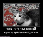 Фотография Верещагиной Александры