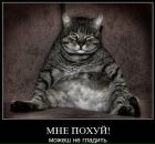 Фотография Степанова Павла