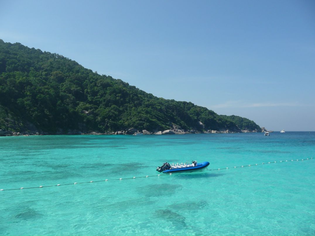 Дмитрий Бычков фотография #48