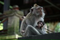 Катя Мищенко фотография #29 (источник - https://vk.com/id19178)