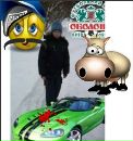 Аліна Сніщук фотография #12 (источник - https://vk.com/id72676579)