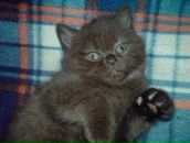 Фотография Хасановой Айгуль