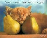 Фотография Новиковой Анны