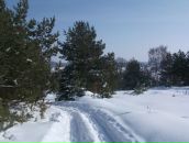 Андрій Лопачук фотография #37 (источник - https://vk.com/id71496281)