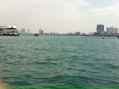 Фотография Смирнова Филиппа