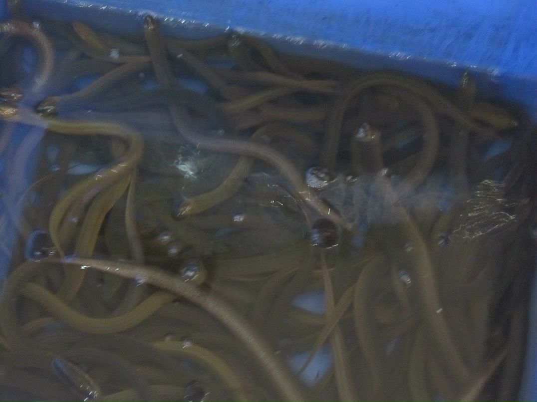 Omar Samir фотография #28