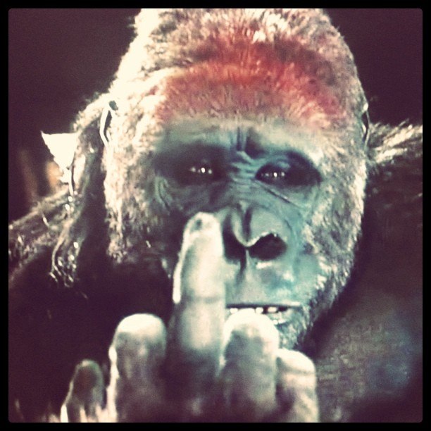 Se Ku фотография #46