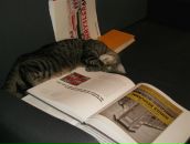 Фотография Петровой Любови