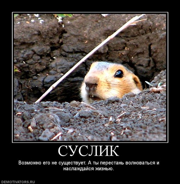 Сергей Савельев фото №29