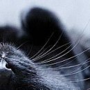Dетk☼ ツ фотография #5 (источник - https://vk.com/id152994176)