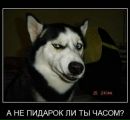 Влад Бігун фотография #46 (источник - https://vk.com/id35015692)