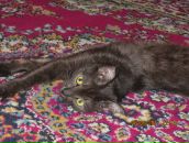 Фотография Буяновой Натали