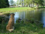 Фотография Вихровой Татьяны