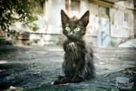 Фотография Хлыстовой Ксении