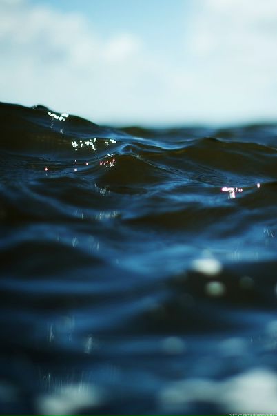 №4, Владимир Маркин, Санкт-Петербург №4, Владимир Маркин, Санкт-Петербург