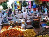 Альбина Низамиева (Сунгатуллина) фотография #6 (источник - https://vk.com/id23884244)