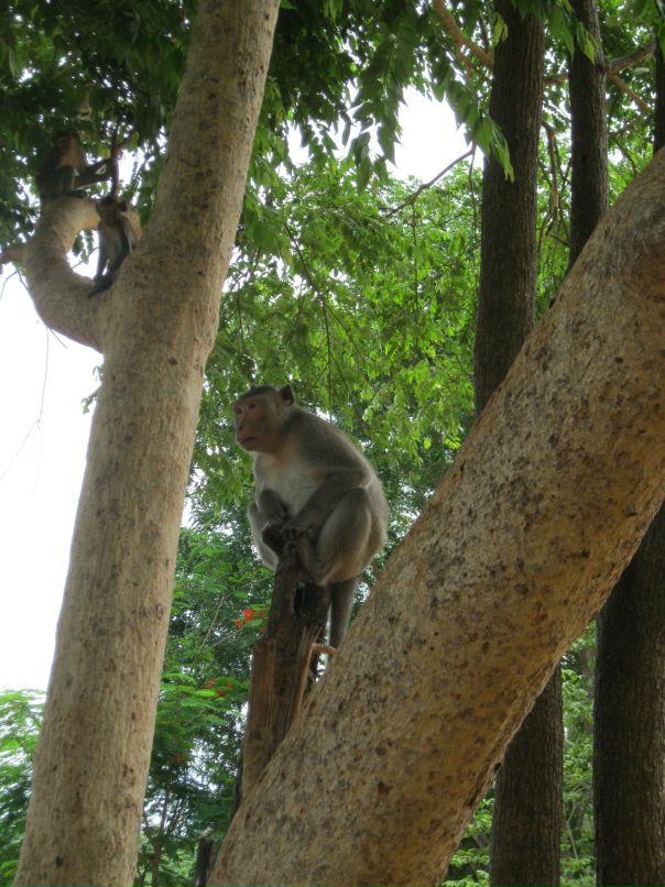 Павел Баш фотография #49