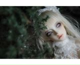 Фотография Довмат Ольги