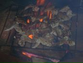 Ігор Кіт фотография #48 (источник - https://vk.com/id111938038)