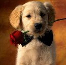 Ярослав Лемішко фотография #9 (источник - https://vk.com/id159254135)