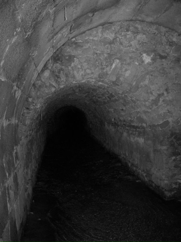 Вера Борисова фотография #35