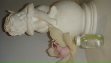 Фотография Stetsura Alexsander