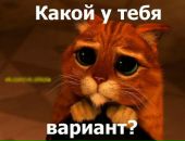 Вікторія Фенин фотография #23 (источник - https://vk.com/id168366665)