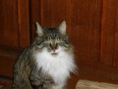 Фотография Страшкова Константина