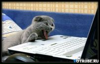 Фотография Скороспелова Евгения