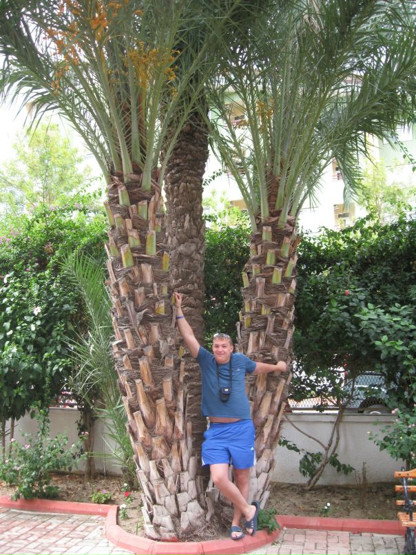 Дмитрий Андреев фотография #32