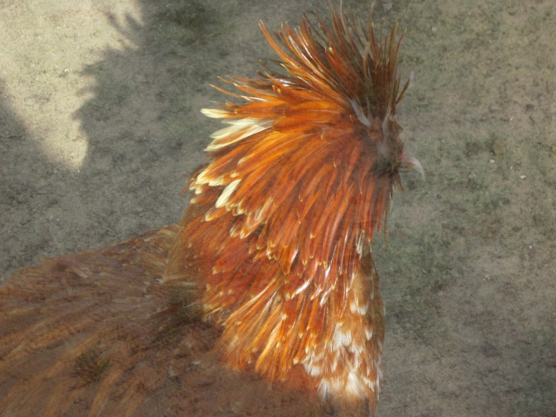 Наталья Гринёва фотография #14