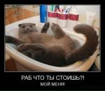 Фотография Иванютина Макса